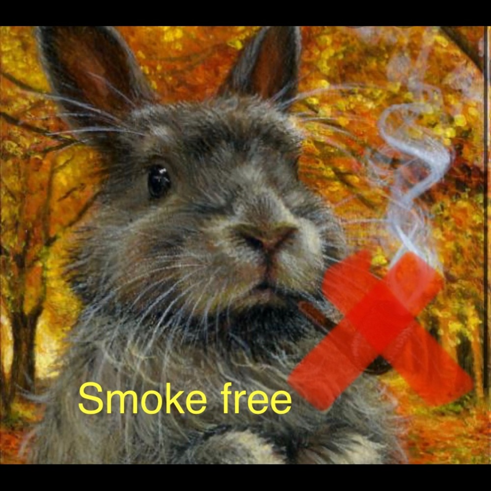 Non smoking home